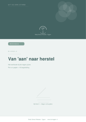 Van 'aan' naar herstel — Het werkboek bij deel 2