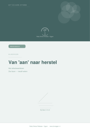 Van 'aan' naar herstel — Reflectiewerkboek